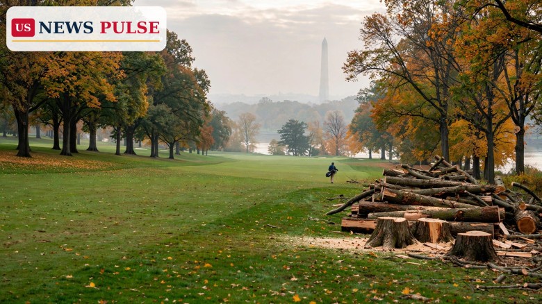 Judge Blocks Trump East Potomac Golf Course Renovation After 400 Trees Felled
