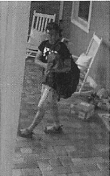 Shawn Chan, 41, seen here on surveillance video during his alleged stalking attempt
