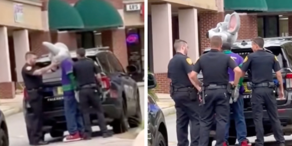 Dreams crushed! Kids watch as Chuck E. Cheese mascot is arrested on credit card fraud charges