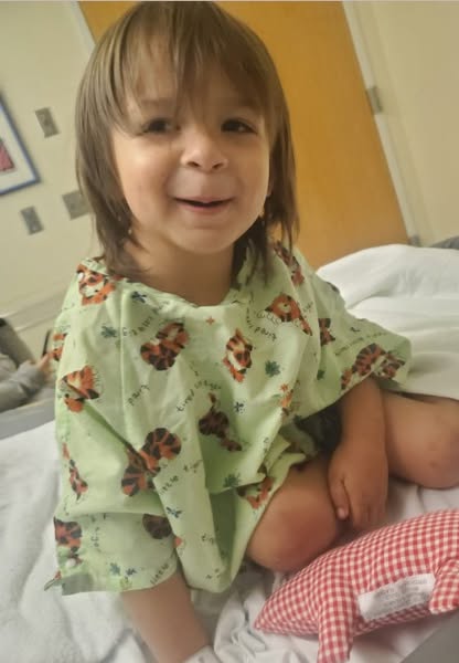 7-Year-Old’s Tragic Death in Chilton County Dog Attack Spurs Urgent Community Safety Plea