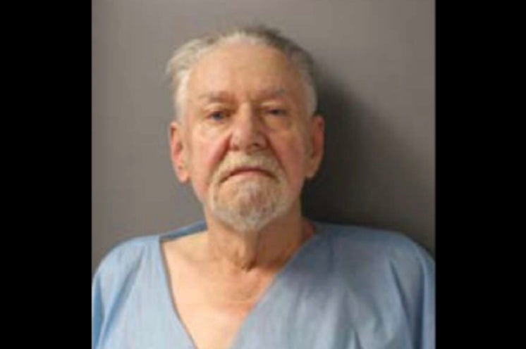 Roland Schmidt, 76, has been accused of killing his daughter-in-law execution style at a family wedding in front of a guest after she planned to divorce his son, according to the cops