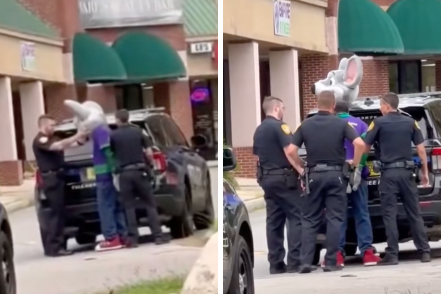 Jermel Jones, 41, of Tallahassee, was arrested while at his job, dressed as Chuck E. Cheese, for credit card fraud.
