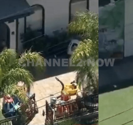 Heroic Daycare Staff Shield 17 Children During Granada Hills Shooting, Two Women Injured