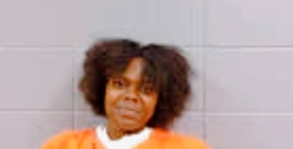 Ozark Woman Arrested in Florida Following Drive-By Shooting on Dixie Drive