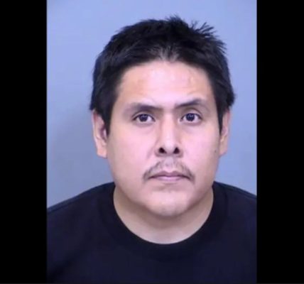 Kids rescued from hot car after their dad left them to go inside an Arizona adult bookstore, police say