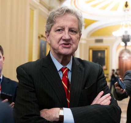 Sen. John Kennedy shredded for his take on gun control after NYC shooting