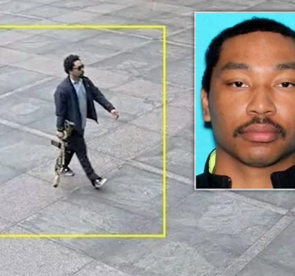 How did NYC shooter, with a ‘documented mental health history’, have concealed carry permit for a firearm?