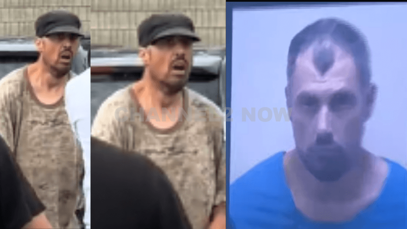 Marine Veteran and Armed Citizen Subdue Knife-Wielding Attacker in Michigan Walmart, Protecting Shoppers