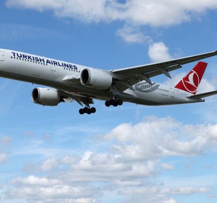 Body of passenger who died on flight from Istanbul to San Francisco goes missing