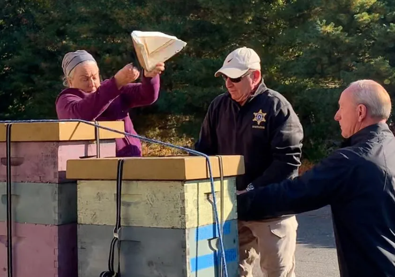 Woods allegedly opened a hive and knocked one off a truck, provoking aggressive bees that stung deputies and bystanders, including some with allergies