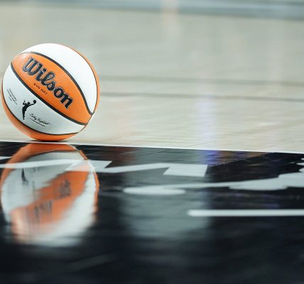 Fan, 32, accused of throwing sex toy at 12-year-old girl during WNBA game