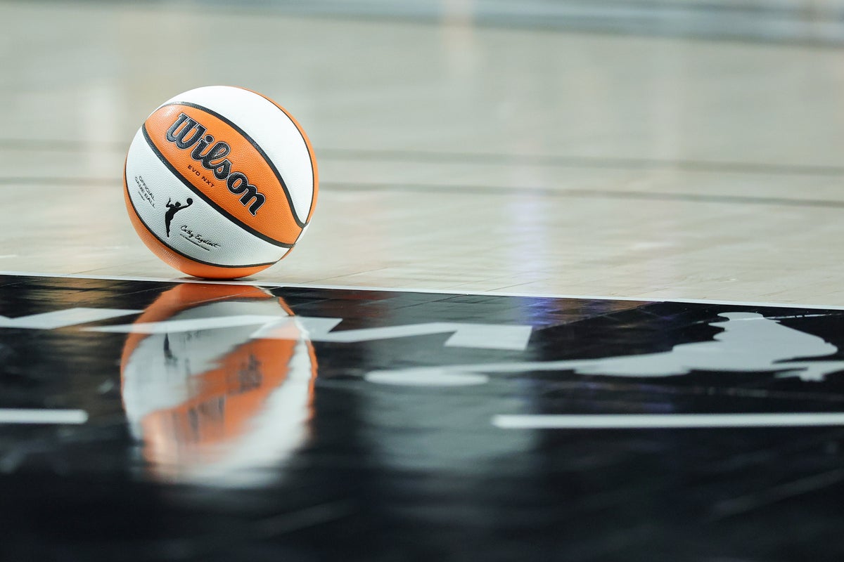 Fan, 32, accused of throwing sex toy at 12-year-old girl during WNBA game