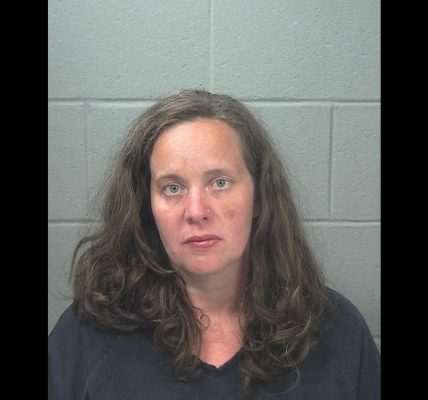Mom facing charges after her three-year-old daughter and family dog found dead on floor of hot car