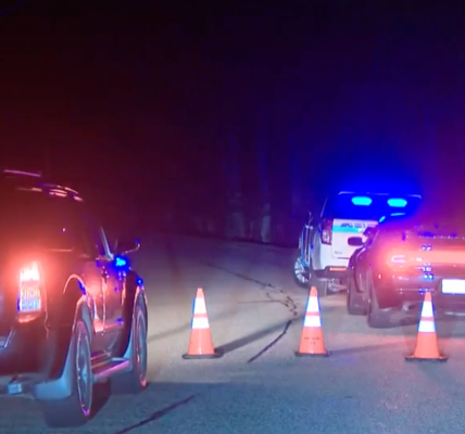Two adults and two children found dead in New Hampshire murder suicide – but toddler left unharmed: police
