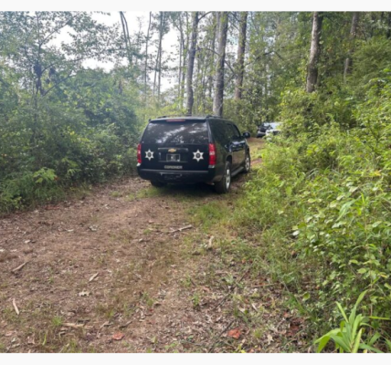 Neshoba County Authorities Investigate Discovery of Partially Decomposed Body on Rural Property Friday