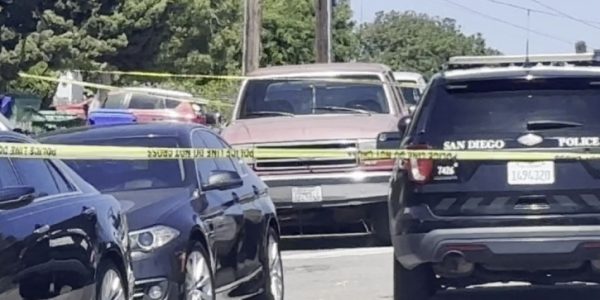 Tragic End in Oak Park: Husband and Wife Found Dead in Suspected Murder-Suicide