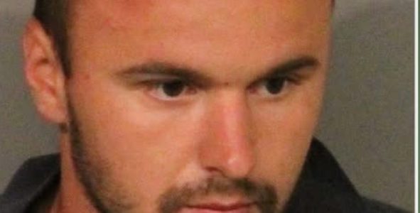 Woman’s Courageous 911 Call Halts Violent Assault in Roseville Park