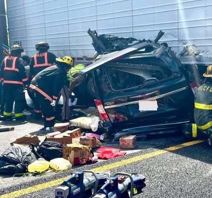 Semi-truck driver arrested after making illegal U-turn on Florida highway killing three people
