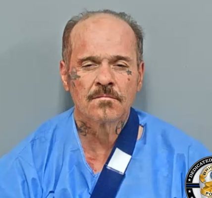 Suspect locked up for alleged crime spree faces murder charges after pregnant woman found dead in abandoned car