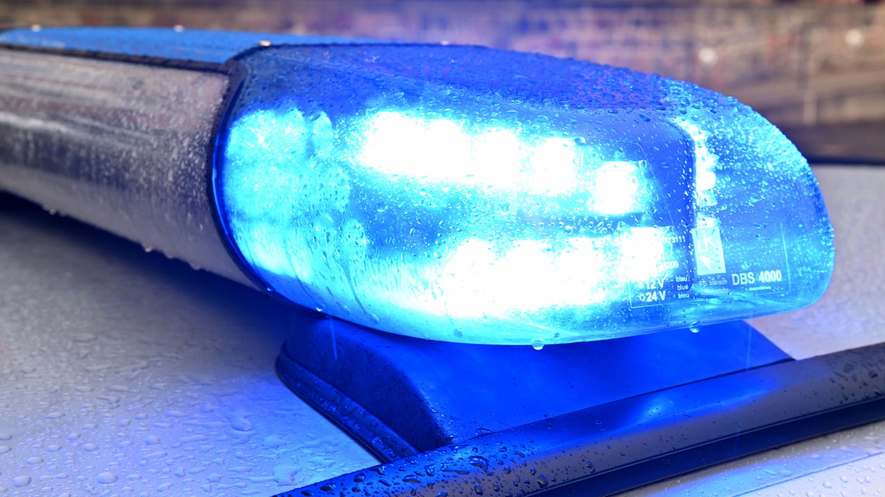 Beach Park man dies after car rolls on top of him in his driveway