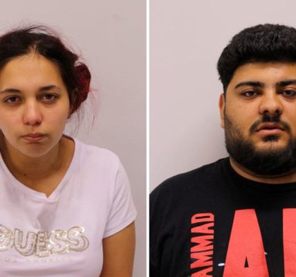 Pair charged in suburban Walmart attempted robbery, linked to crime ring: police