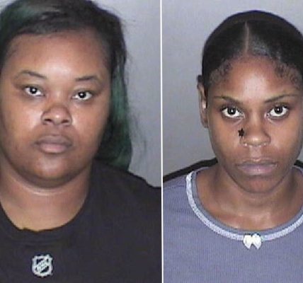 ‘TJ Maxx shoplifters’ thwarted after fast-foot pit stop during getaway: ‘Felonies do not come with a side of fries’
