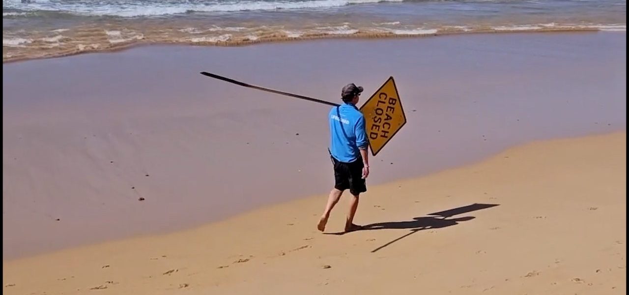 Man dies in shark attack at Sydney beach