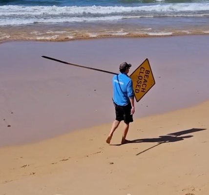 Man dies in shark attack at Sydney beach