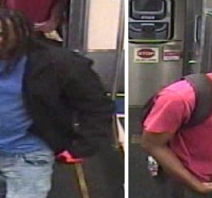 CTA crime: 2 men sought in Green Line robbery