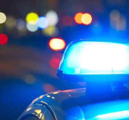 Man fatally beaten on Chicago's South Side