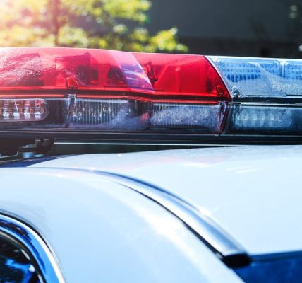 Man fatally shot on Chicago’s South Side; 3 suspects sought: police