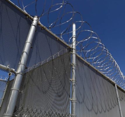 Chicago man sentenced for immigration fraud