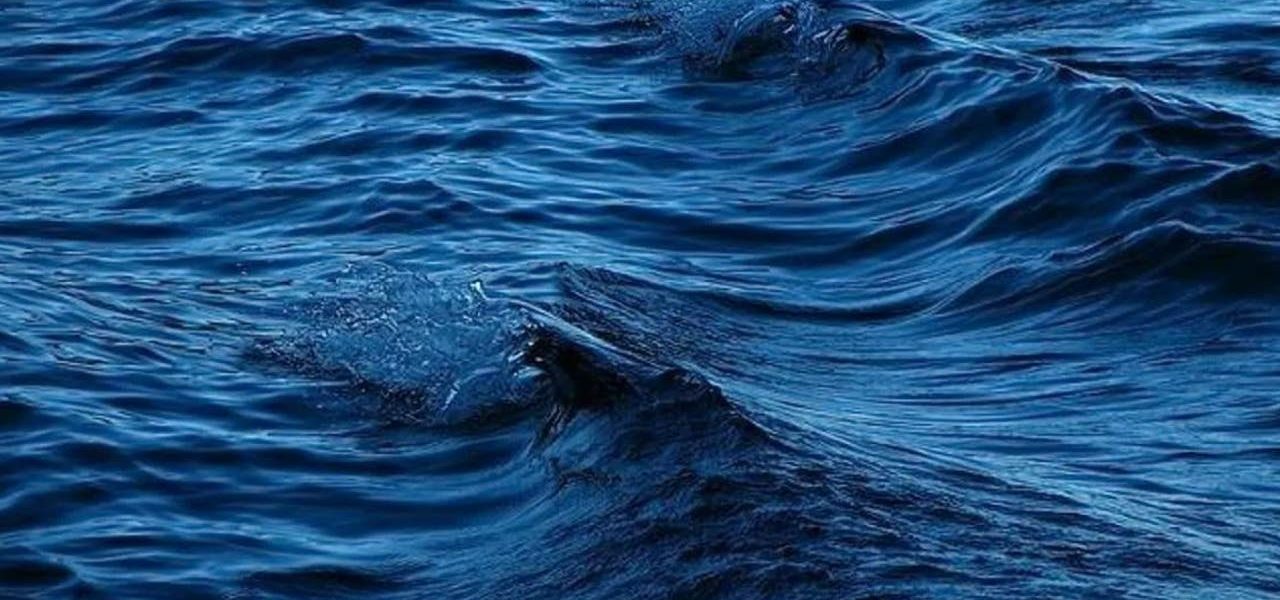 Police investigating death of woman recovered from the water near 63rd Street Beach