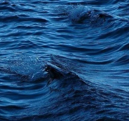 Police investigating death of woman recovered from the water near 63rd Street Beach