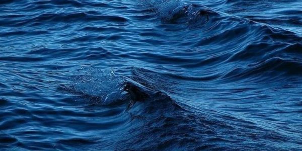 Police investigating death of woman recovered from the water near 63rd Street Beach