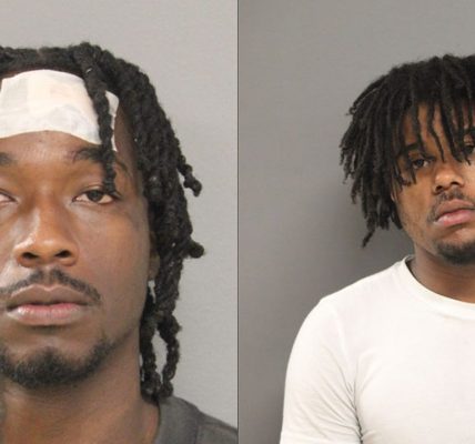 Two men charged after violent train robbery in Fuller Park: police