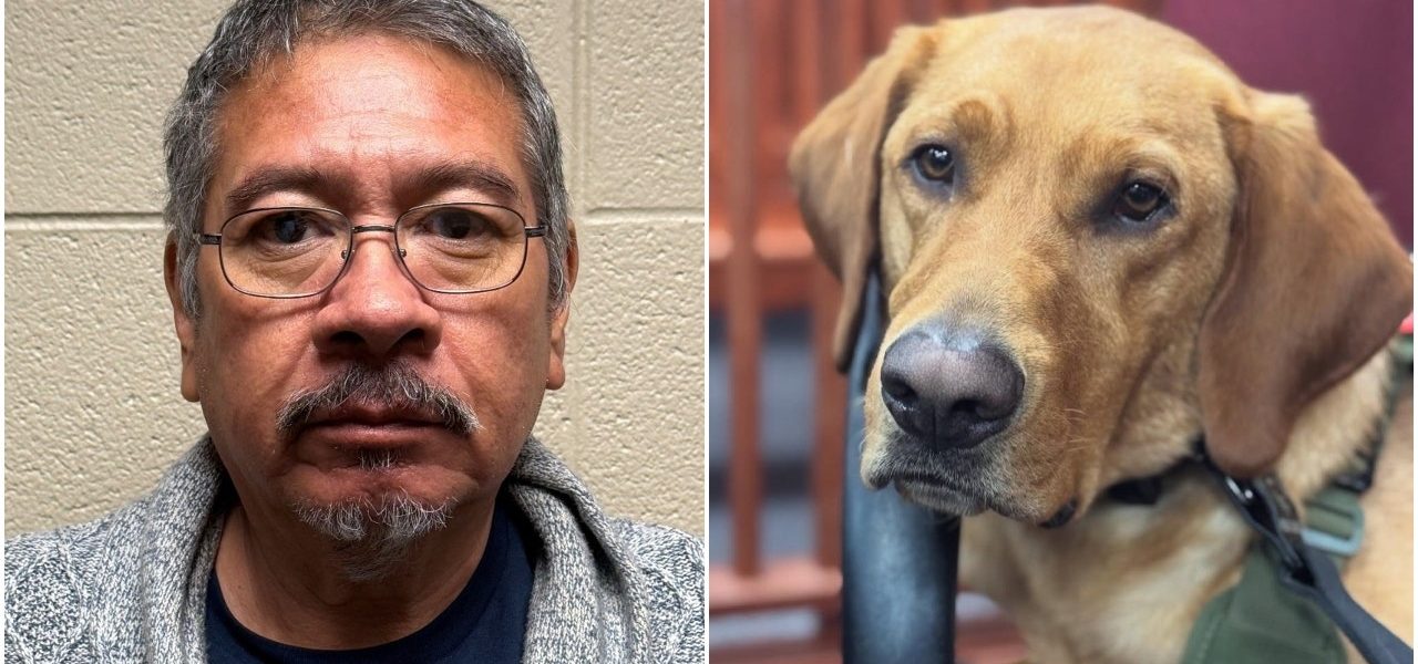 Illinois K9 helps discover cache of child porn, leading to arrest