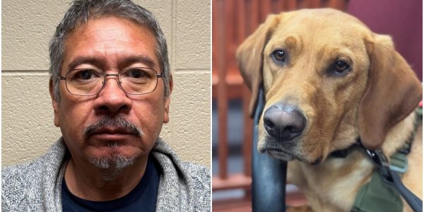 Illinois K9 helps discover cache of child porn, leading to arrest