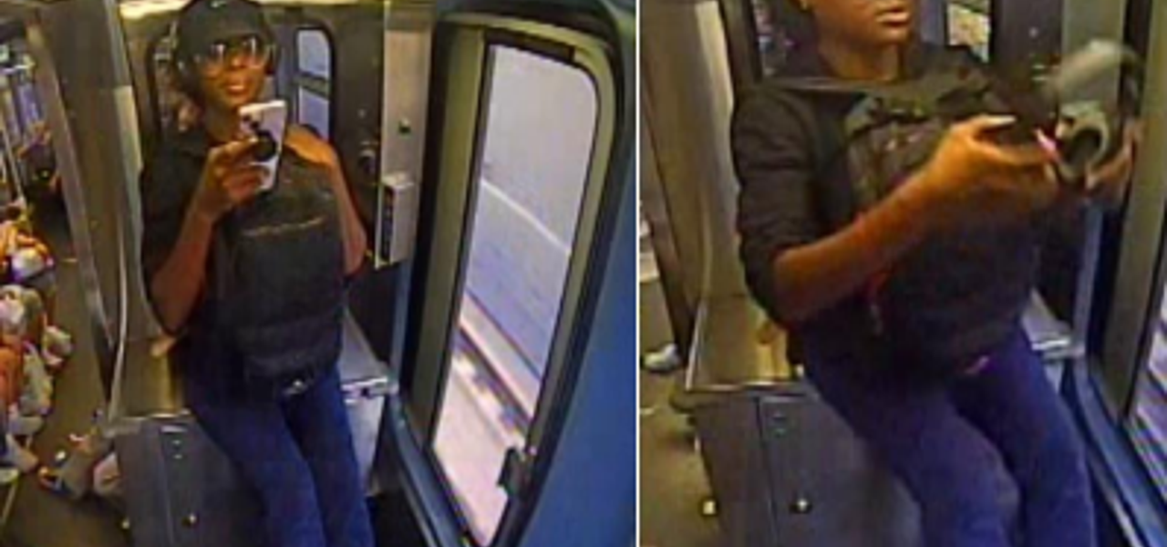 Chicago police seek woman in Irving Park attack