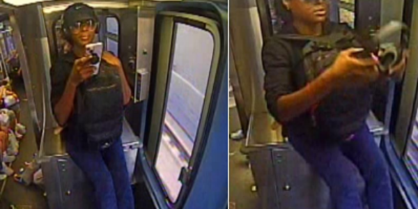 Chicago police seek woman in Irving Park attack