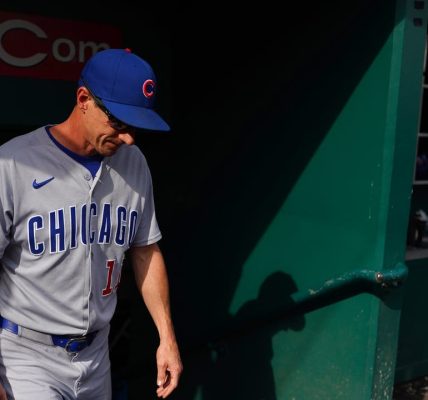 Surging Reds blank Cubs, move into tie for NL wild card spot