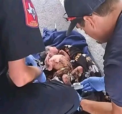North Austin apartment complex becomes scene of shocking discovery as abandoned newborn rescued from dumpster
