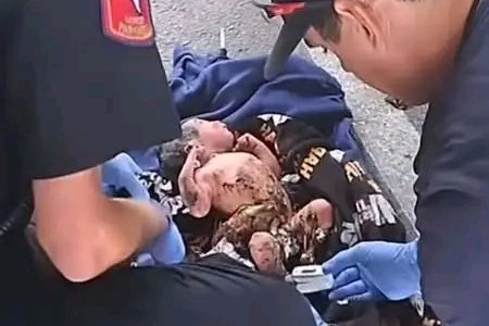 North Austin apartment complex becomes scene of shocking discovery as abandoned newborn rescued from dumpster