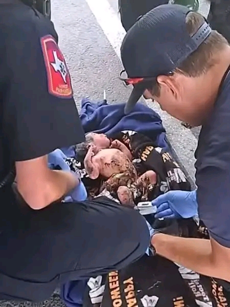 North Austin apartment complex becomes scene of shocking discovery as abandoned newborn rescued from dumpster