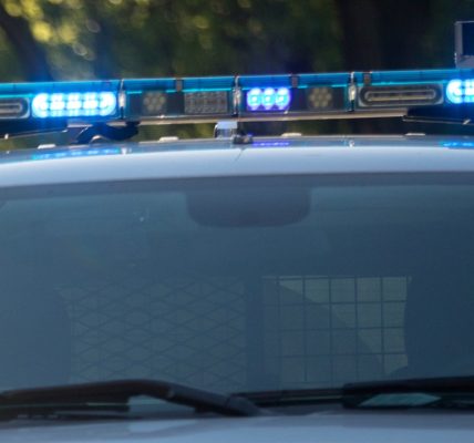 Missing New York girl found in Chicago area with 2 men in US illegally: officials