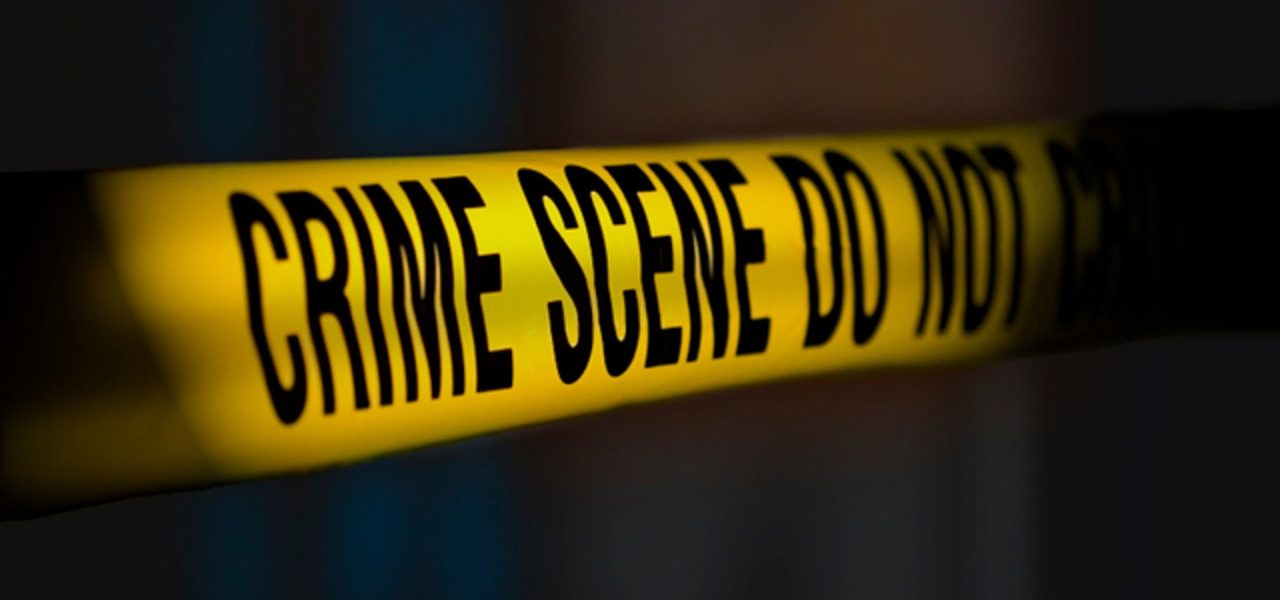Woman, 19, shot in Round Lake Beach; suspect in custody