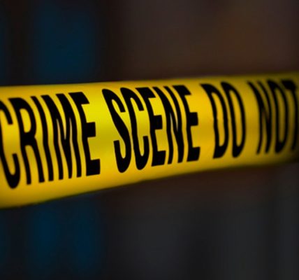 Woman, 19, shot in Round Lake Beach; suspect in custody