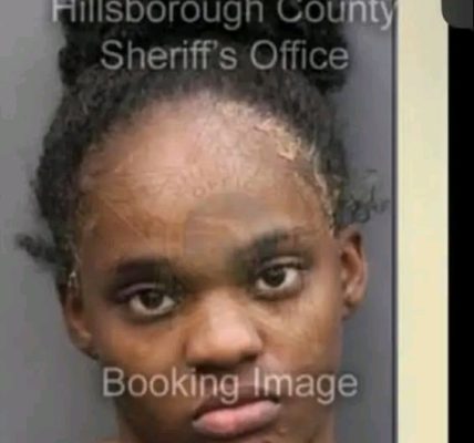Valrico, Florida — A deeply disturbing incident has left the Valrico community shaken after a young mother attempted to drown herself and her three children in a backyard swimming pool
