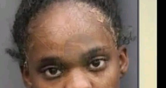 Valrico, Florida — A deeply disturbing incident has left the Valrico community shaken after a young mother attempted to drown herself and her three children in a backyard swimming pool