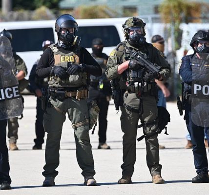 ICE to launch ‘enforcement action’ in Broadview amid escalating protests